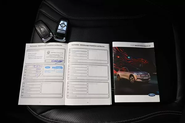 Ford Mustang Mach-E X ACC LED BO Tažné Extended Ra - foto 35