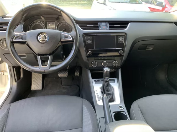 Škoda Octavia 2,0 TDI DSG 4X4,1.MAJ,ČR - foto 10