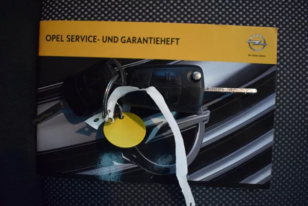 Opel Zafira 1,6 i PRAVIDELNÝ SERVIS TOP ST - foto 25