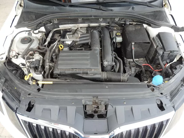 Škoda Octavia 1.4 TSI 81 kW G-TEC CNG - foto 13