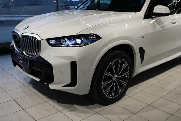 BMW X5 xDrive30d M Sport DAProf/NezTo - foto 7