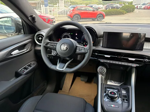 Alfa Romeo Tonale 1.6 JTDm 130 TCT6 - foto 12