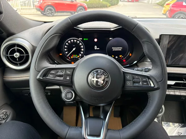 Alfa Romeo Tonale 1.6 JTDm 130 TCT6 - foto 14