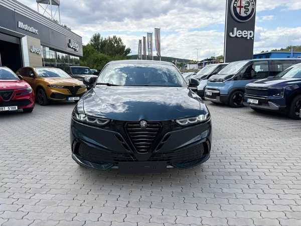 Alfa Romeo Tonale 1.6 JTDm 130 TCT6 - foto 2