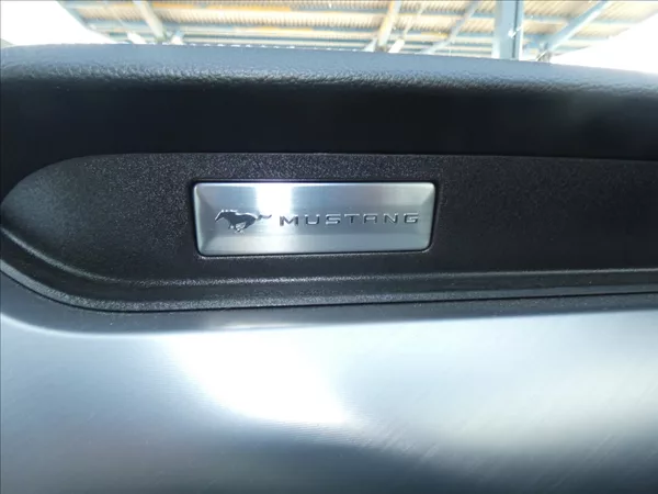 Ford Mustang 5,0 GT V8 - foto 12