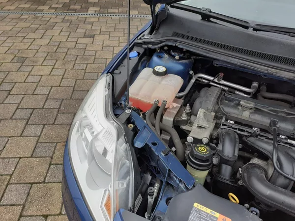 Ford Focus 1.6 16V TREND - foto 20