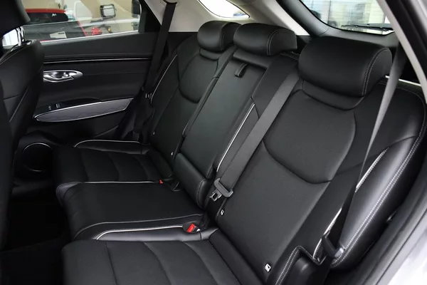 Genesis GV70 2.5T AWD AT8 LUXURY LINE - foto 11