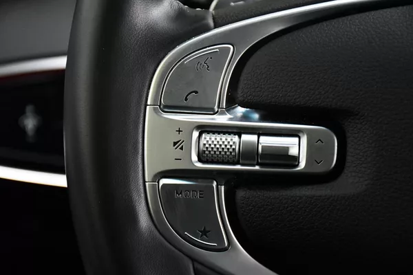 Genesis GV70 2.5T AWD AT8 LUXURY LINE - foto 31