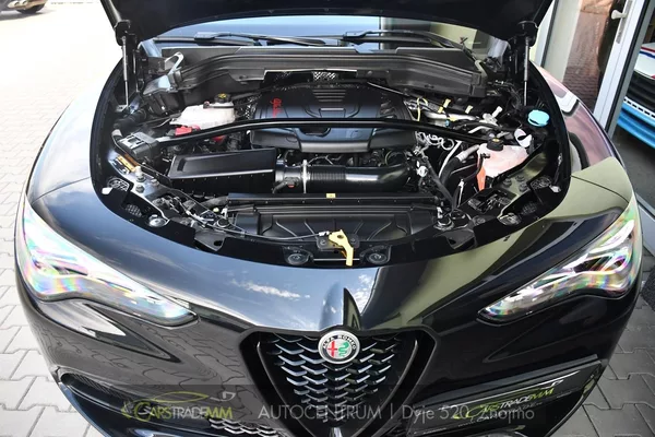 Alfa Romeo Stelvio 2.0T 16V 206kW VELOCE AT8 Q4 - foto 45