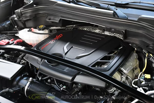 Alfa Romeo Stelvio 2.0T 16V 206kW VELOCE AT8 Q4 - foto 46