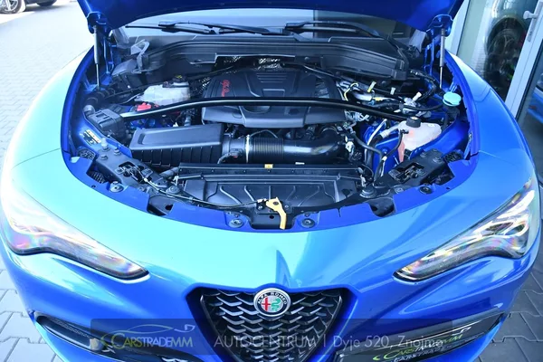 Alfa Romeo Stelvio 2.0 Turbo 16V 206kW Veloce AT8 - foto 45