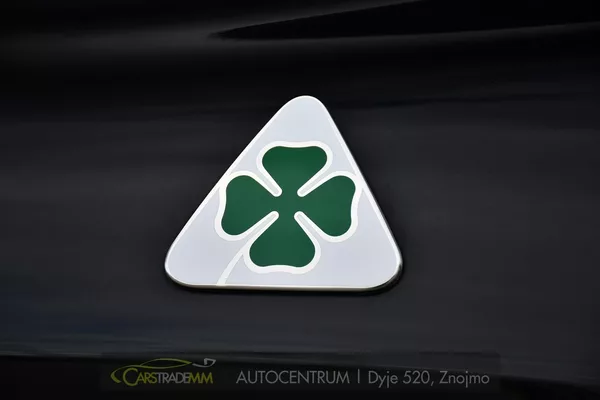 Alfa Romeo Stelvio 2.9V6 Bi-T.382 kW QUADRIFOGLIO - foto 55