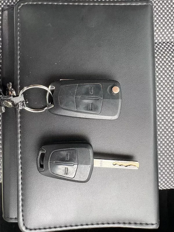 Opel Zafira 1.6, 110kW, 7Míst, CNG+BENZÍN - foto 25