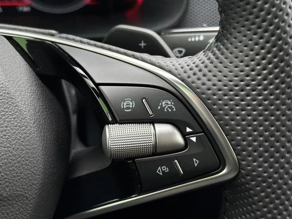 Škoda Kamiq 1.0TSi DSG Monte Carlo 116PS M - foto 21