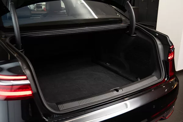 Audi A8 Vzduch. podvozek/Masážní sedad - foto 22