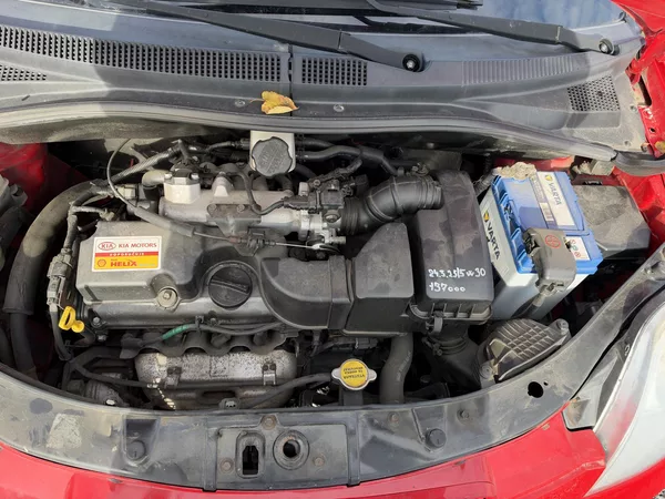 Kia Picanto 1.0i,152 tis km - foto 7
