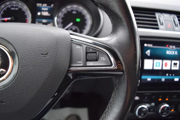 Škoda Octavia 2.0TDI 135kw SCOUT DSG 4x4 TAŽ - foto 32