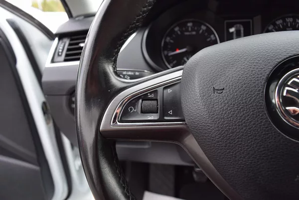 Škoda Octavia 1.4TSI 110kw ED. JOY TAŽN NAVI - foto 27