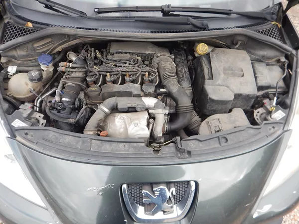 Peugeot 207 1.6 HDi, DIGIKLIMA - foto 20