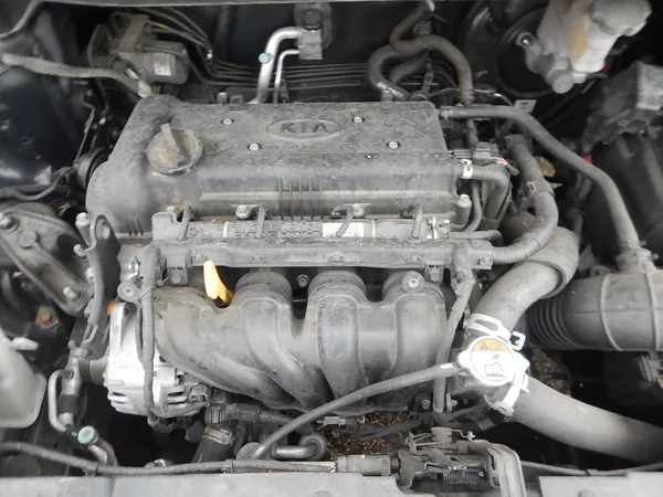 Kia Rio 1.4 i 80 kw - foto 15