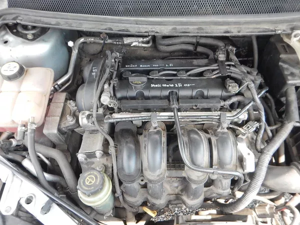 Ford Focus 1.6i, KLIMA - foto 12