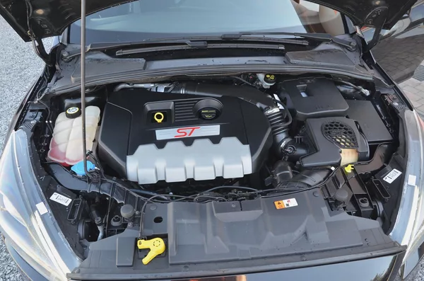 Ford Focus ST 2.0 184kW RECARO - foto 4