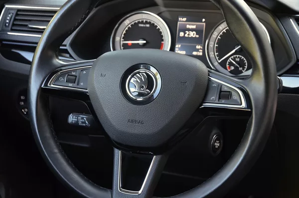 Škoda Superb 2.0 TDi 140kW 4x4 L&K / 1.MAJ. - foto 31