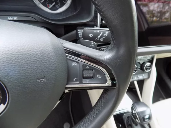 Škoda Kodiaq 2.0TSi/DSG/4x4/LED/PANO/DPH/ - foto 28