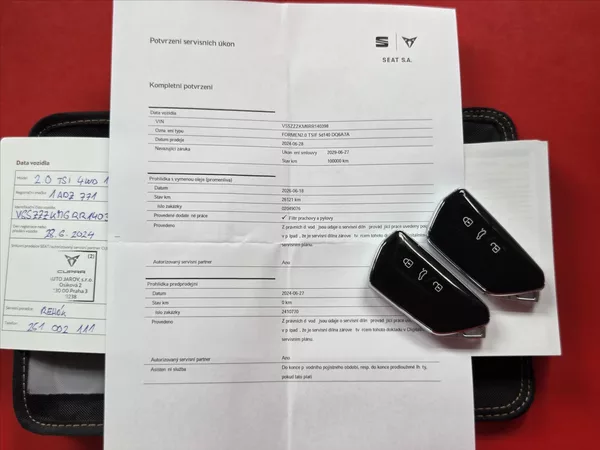 Cupra Formentor 2,0 TSi DSG 4x4 Záruka2029 ČR - foto 7