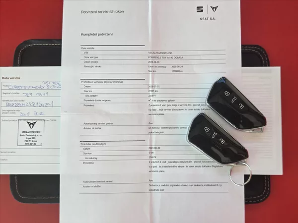 Cupra Formentor 2,0 TSi DSG 4x4 Matrix Tažné Z - foto 7