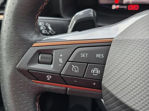 Cupra Formentor 2,0 TSi DSG 4x4 Matrix DCC Zár - foto 17