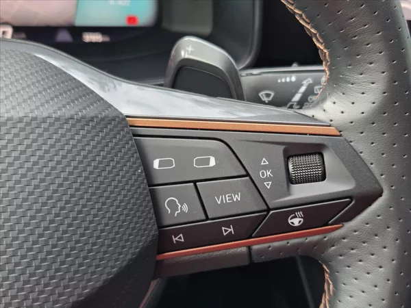 Cupra Formentor 2,0 TSi DSG 4x4 Matrix DCC Zár - foto 18