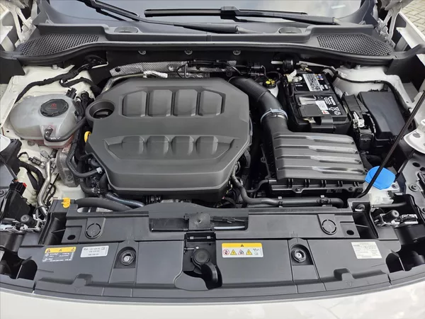 Cupra Formentor 2,0 TSi DSG 4x4 Matrix DCC Zár - foto 25