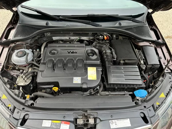 Škoda Octavia Scout 2.0Tdi 135Kw DSG - foto 29