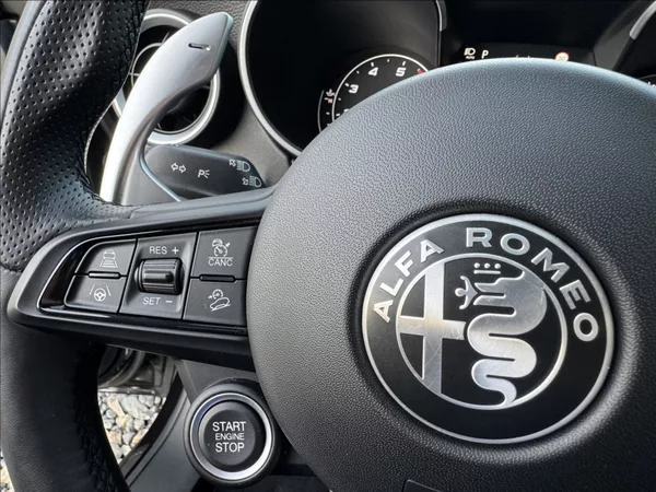 Alfa Romeo Stelvio 2,0 T Q4 AT8 ZF VELOCE původČR - foto 29