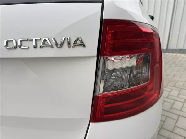 Škoda Octavia 1,6 TDI 81kW 2.maj. původ ČR - foto 16