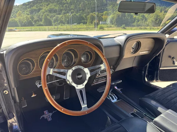 Ford Mustang MACH 1 FASTBACK 351 WINDSOR V - foto 24