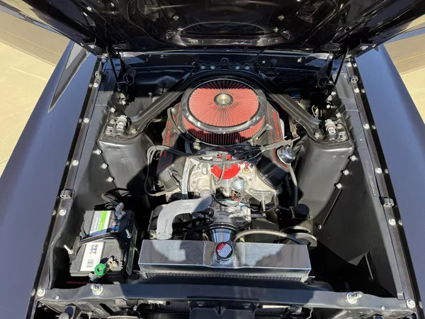 Ford Mustang MACH 1 FASTBACK 351 WINDSOR V - foto 30
