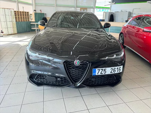 Alfa Romeo Giulia 2,0 COMPETIZIONE - foto 2
