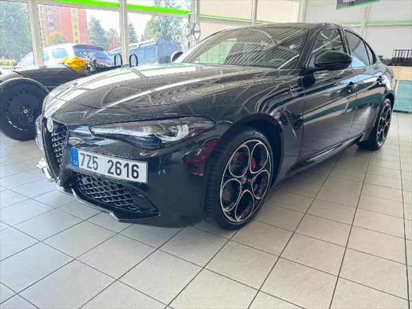 Alfa Romeo Giulia 2,0 COMPETIZIONE - foto 3