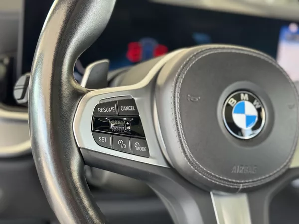 BMW X7 - foto 36