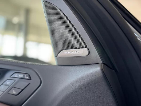 BMW X7 - foto 42