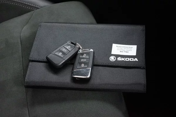 Škoda Kodiaq 2.0 TDI 4x4*STYLE+*TAŽNÉ*ČR 1M - foto 42