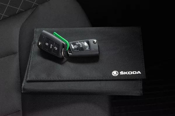 Škoda Scala 1.6 TDI SmartLink+*DPH*ČR 1.M* - foto 30