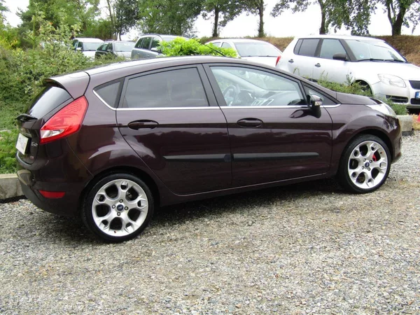 Ford Fiesta 1.6 TDCi 66kW - foto 10