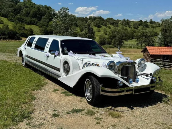 Lincoln Town Car 5.0 MOTOR MUSTANG
