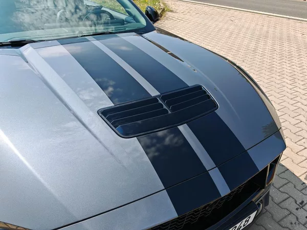 Ford Mustang 5.0 GT Cabrio zár. 5 Let - foto 8