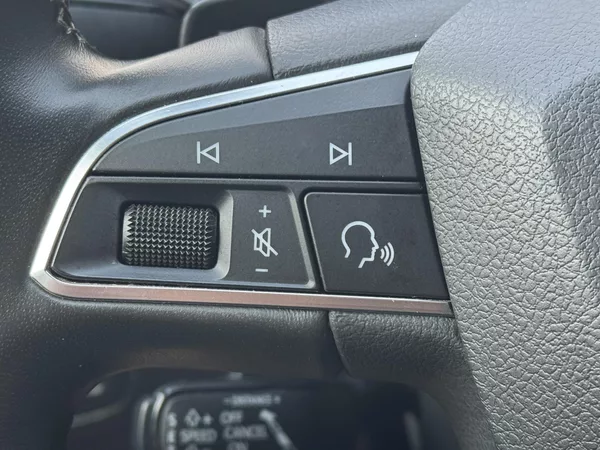 Seat Tarraco 2.0TSi DSG 4D Xcellence, ACC - foto 31