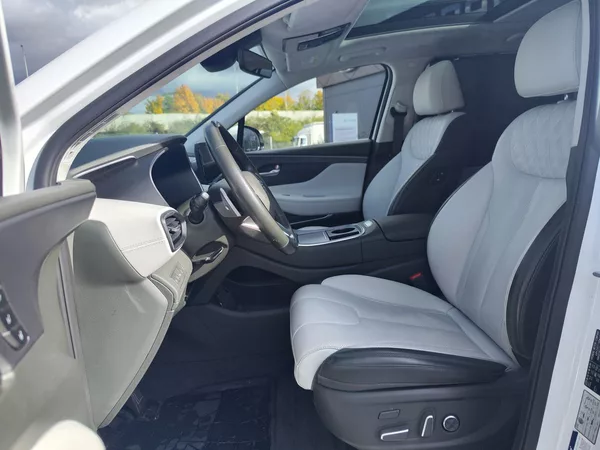Hyundai Santa Fe 1.6 T-GDI/169kW Luxury 4x4 HEV - foto 17