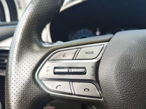 Hyundai Santa Fe 1.6 T-GDI/169kW Luxury 4x4 HEV - foto 30
